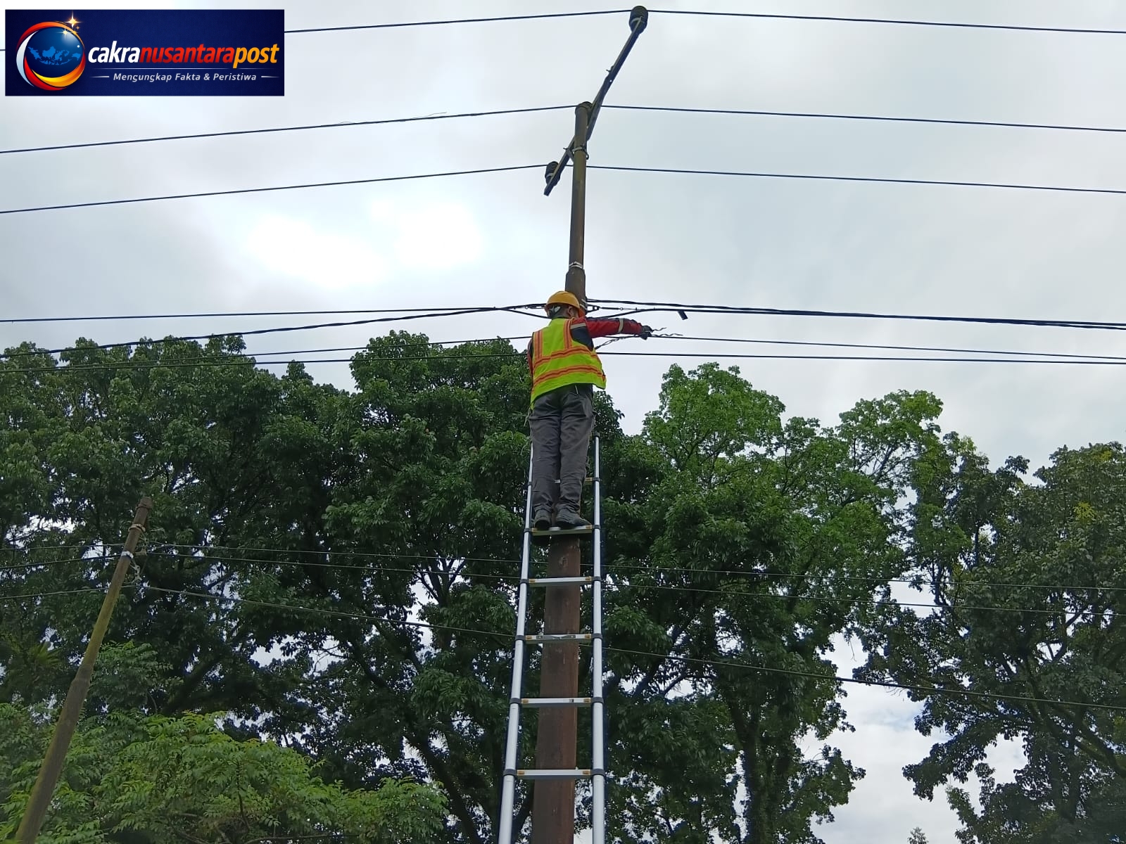 Jaga Keandalan Layanan Internet, PLN Icon Plus Lakukan Penertiban Jalur Kabel Fiber Optik di Kota Pekanbaru