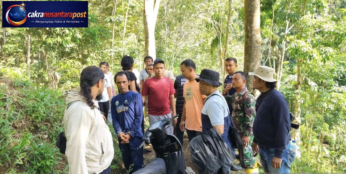 Unit Intel Kodim 0304/Agam Bongkar Ladang Ganja di Palembayan, Dua Bersaudara Diamankan