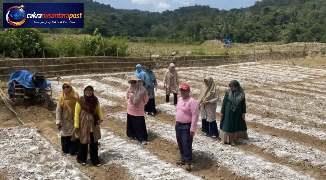 Sawahlunto Kembangkan Gerak Lekas, Lahan Bekas Tambang Disulap Jadi Area Pertanian Produktif
