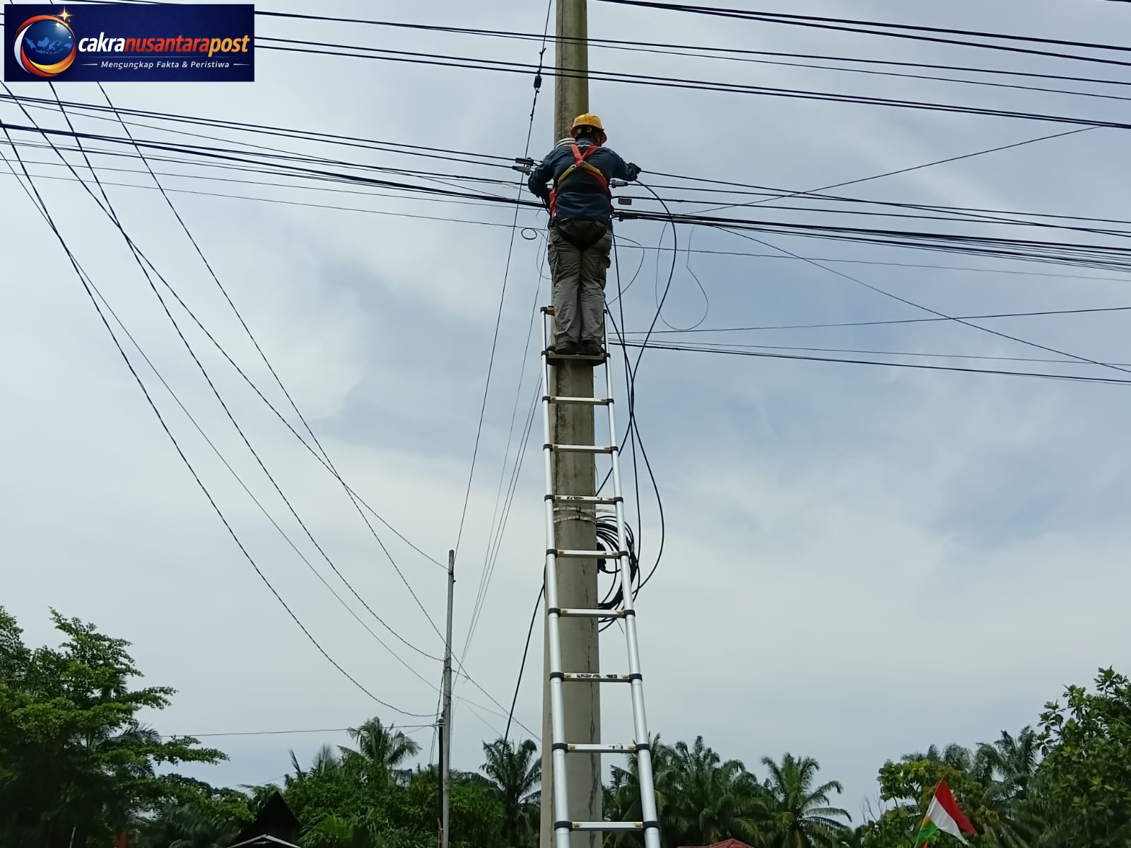 Perkuat Pengelolaan Aset Telekomunikasi, PLN Icon Plus Lakukan Pemeliharaan Jaringan melalui P3AK di Rokan Hulu
