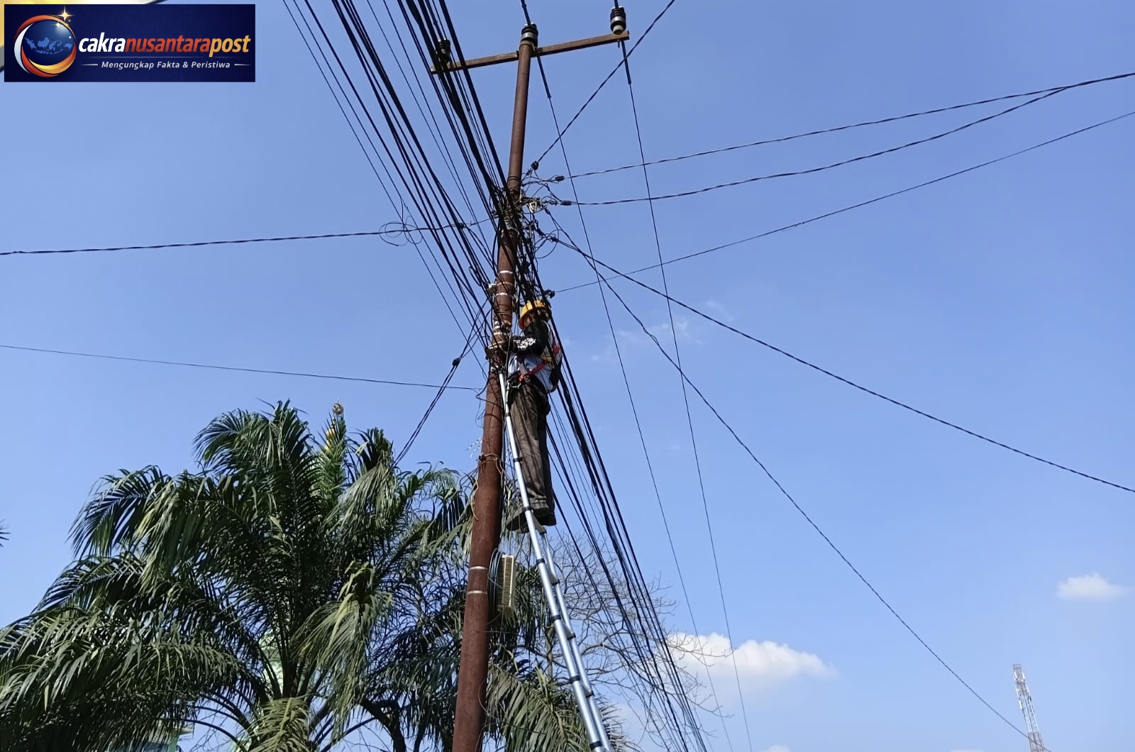 Perkuat Pengelolaan Aset Jaringan, PLN Icon Plus Lakukan Pemeliharaan Rutin di Rokan Hulu