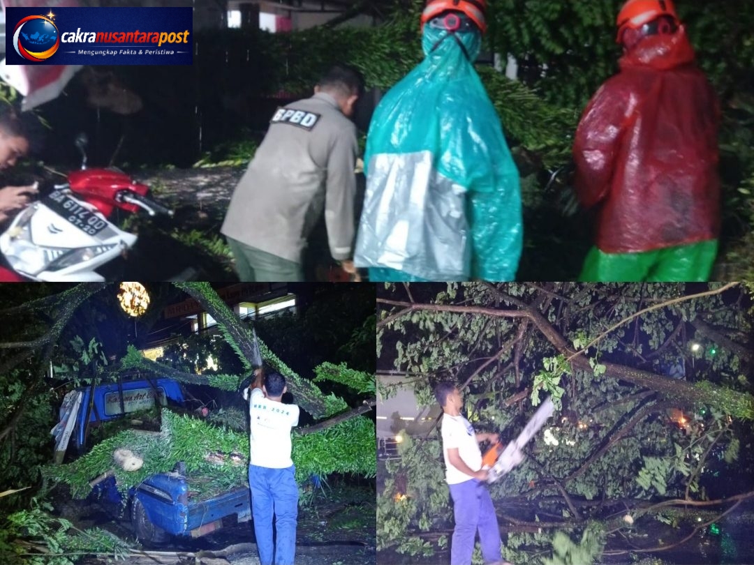 Cuaca Ekstrem Landa Padang, Dua Pohon Tumbang Ganggu Akses Jalan