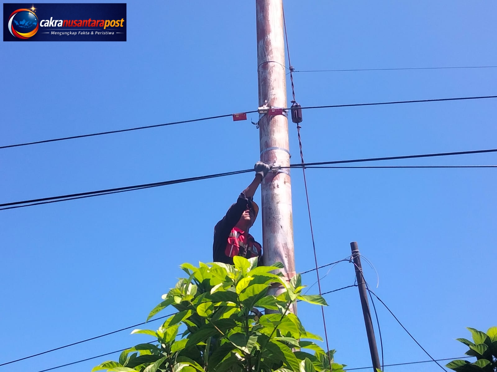 Perkuat Keandalan Infrastruktur Telekomunikasi, PLN Icon Plus Lakukan Pemeliharaan Jaringan Fiber Optik di Jalur Teluk Kabung Utara