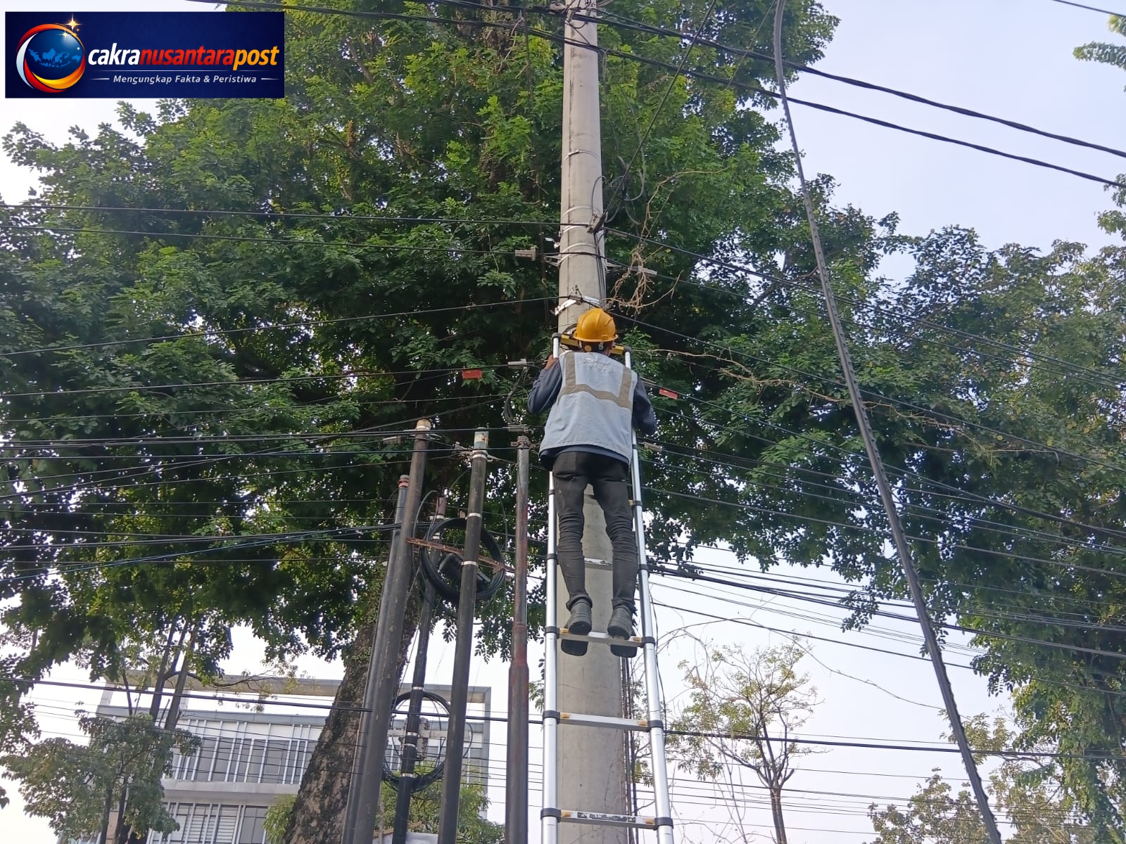 Dukung Infrastruktur Telekomunikasi, PLN Icon Plus Lakukan Penataan Jaringan Fiber Optik di Pekanbaru