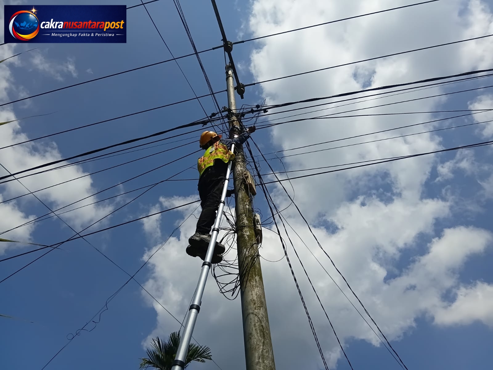 Perkuat Infrastruktur Telekomunikasi, PLN Icon Plus Lakukan Pemeliharaan Jaringan Fiber Optik di Dumai